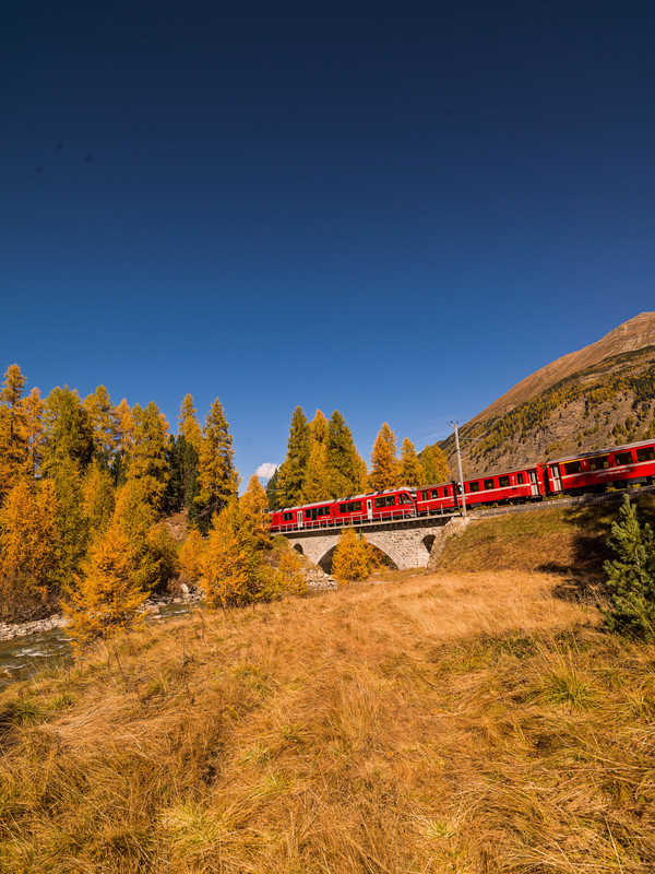 Die Rhätischen Bahn bei wunderbarer Herbststimmung auf der Punt Ota bei Pontresina.