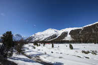 Foto: Dokumentation, Pontresina, Oberengadin, Engadine, Graubünden, Schweiz, Switzerland