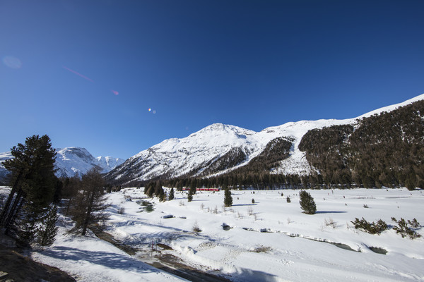 Dokumentation, Pontresina, Oberengadin, Engadine, Graubünden, Schweiz, Switzerland