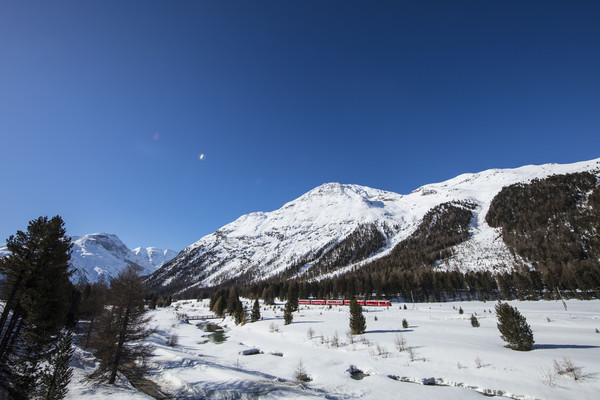 Dokumentation, Pontresina, Oberengadin, Engadine, Graubünden, Schweiz, Switzerland