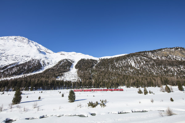 Dokumentation, Pontresina, Oberengadin, Engadine, Graubünden, Schweiz, Switzerland