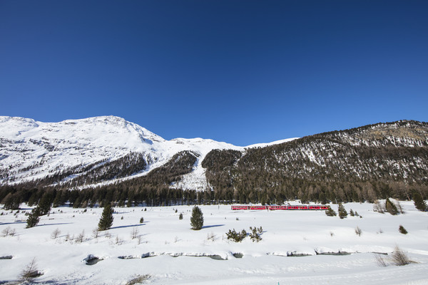 Dokumentation, Pontresina, Oberengadin, Engadine, Graubünden, Schweiz, Switzerland