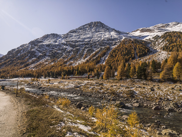 Die Rhätische Bahn am Bernina Pass