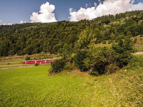 Allegra-Triebzug der Rhätischen Bahn bei Poschiavo im Puschlav.