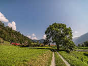 RhB; Poschiavo, Puschlav, Graubünden, Schweiz, Switzerland