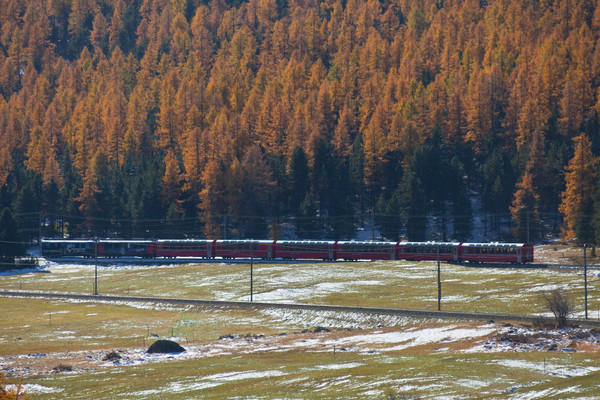 Bernina-Express unterwegs zwischen St. Moritz und Pontresina. Pontresina, Oberengadin, Engadine, Graubünden, Schweiz, Switzerland