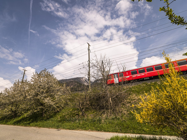 Rhätische Bahn in Frühlingslandschaft bei Reichenau