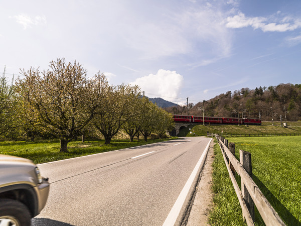 Rhätische Bahn in Frühlingslandschaft bei Reichenau