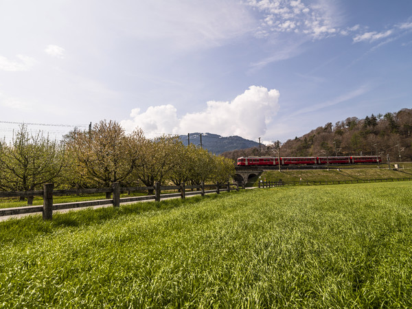 Rhätische Bahn in Frühlingslandschaft bei Reichenau