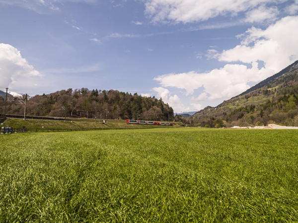 Rhätische Bahn in Frühlingslandschaft bei Reichenau