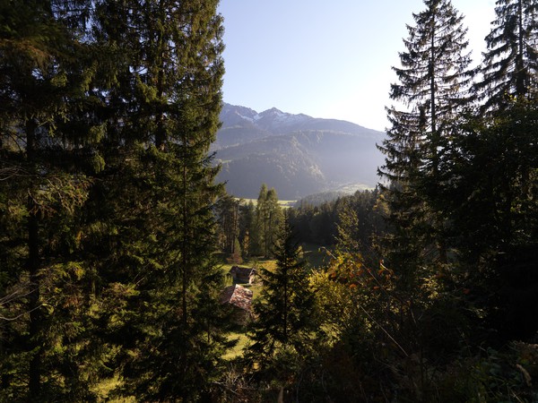 Rheinschlucht in Graubünden