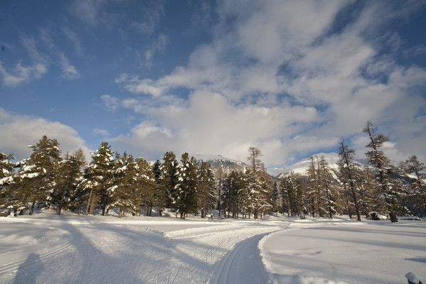 Winterstimmung in der Golfplatzebene bei Samedan