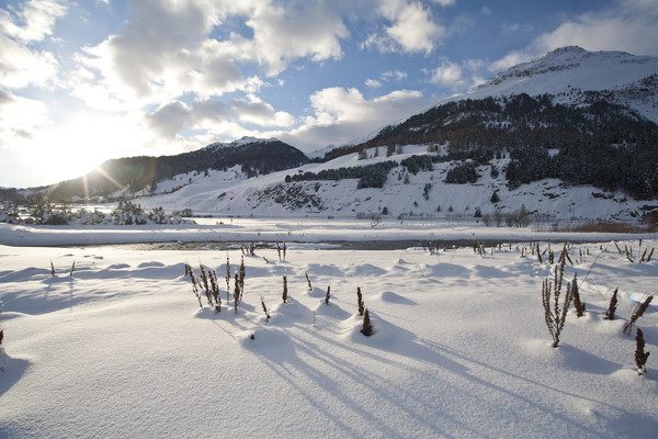 Winterstimmung am Inn