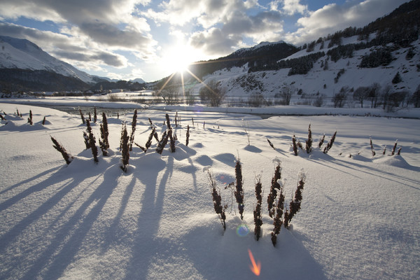 Winterstimmung am Inn