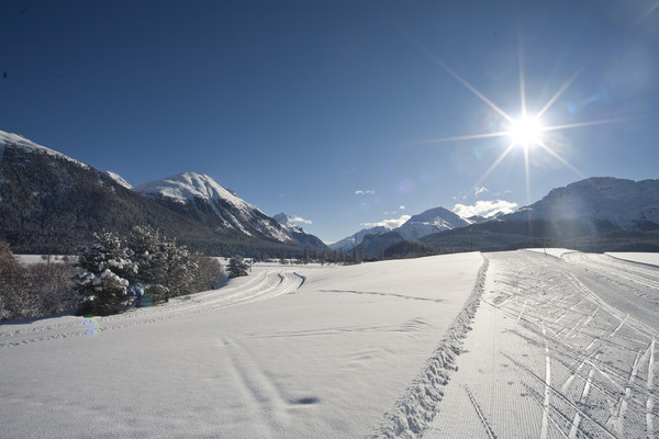 Winterlandschaft bei Samedan