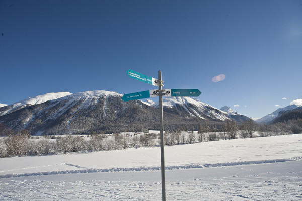 Langlaufen in Samedan