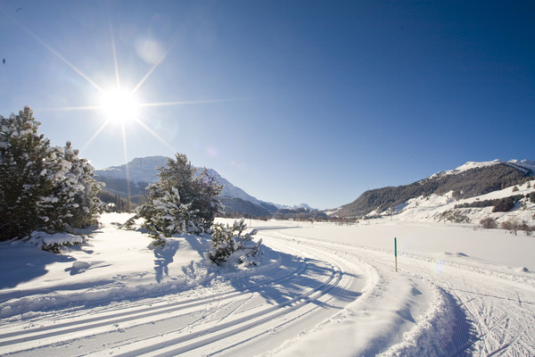 Langlaufen in Samedan