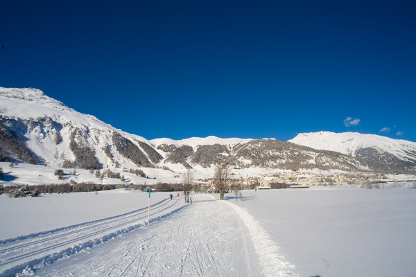 Langlaufen in Samedan