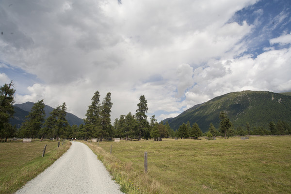 Samedan, Oberengadin, Engadine, Graubünden, Schweiz, Switzerland