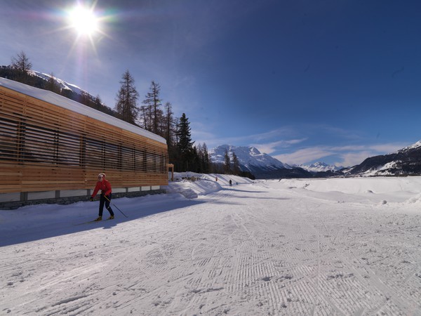 Langlaufloipe Samedan