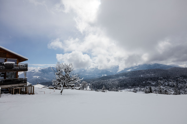 Winterstimmung bei Scheia nahe Flims