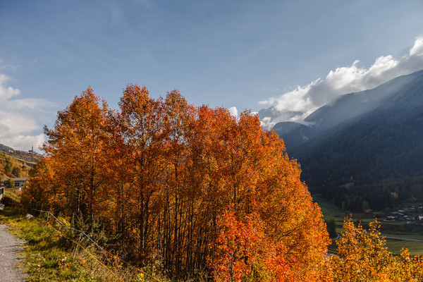 Herbststimmung bei Scuol im Unterengadin