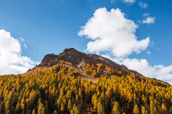 Herbststimmung im Val Sinestra bei Sent im Unterengadin.
