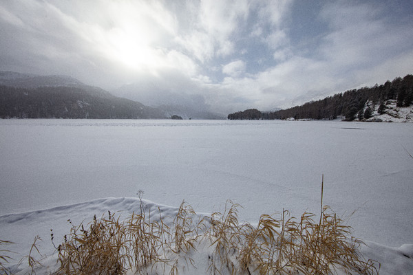 Sils im Oberengadin