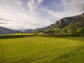 Blick auf Sant Cassian, Sils im Domleschg, Graubünden, Schweiz