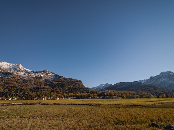 Sils im Oberengadin