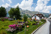 Blumengarten, Sils im Engadin, Graubünden, Schweiz