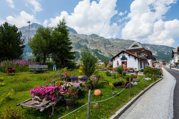 Blumengarten bei Sils-Maria im Engadin