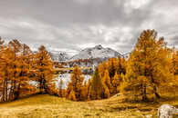 Via Engiadina, Sils i.E., Sils Baselgia, Oberengadin, Graubünden, Schweiz