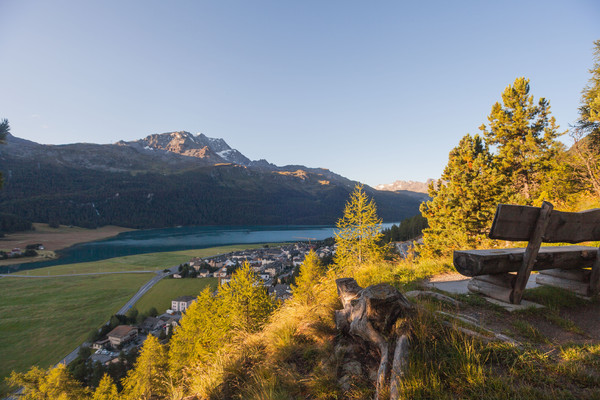 Blick auf Surlej von einem Aussichtspunkt oberhalb von Silvaplana, Oberengadin, Graubünden