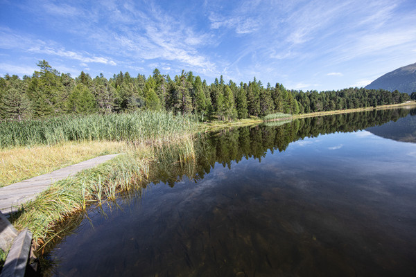 Celerina im Oberengadin, Graubünden