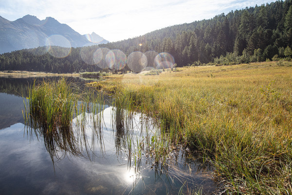 Celerina im Oberengadin, Graubünden