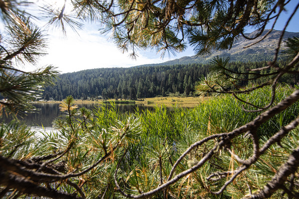 Celerina im Oberengadin, Graubünden