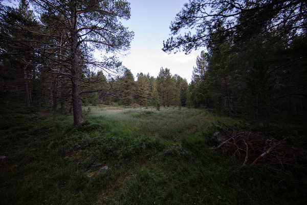 Celerina im Oberengadin, Graubünden