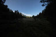 Foto: Celerina, Oberengadin, Graubünden, Schweiz