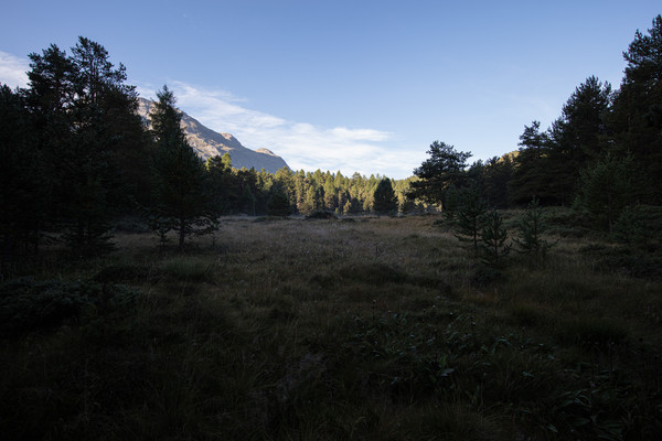 Celerina im Oberengadin, Graubünden