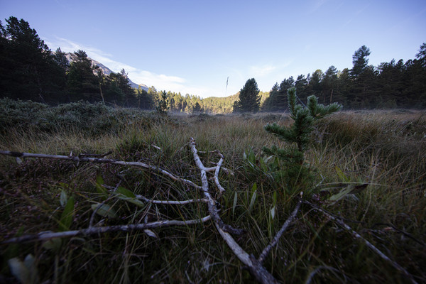 Celerina im Oberengadin, Graubünden