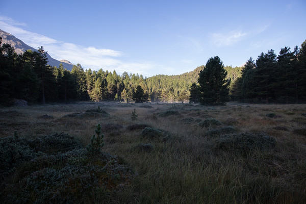 Celerina im Oberengadin, Graubünden