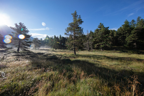 Celerina im Oberengadin, Graubünden