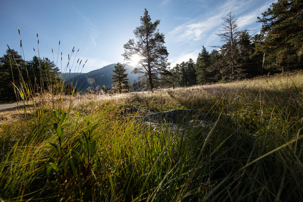 Celerina im Oberengadin, Graubünden