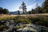 Foto: Celerina, Oberengadin, Graubünden, Schweiz