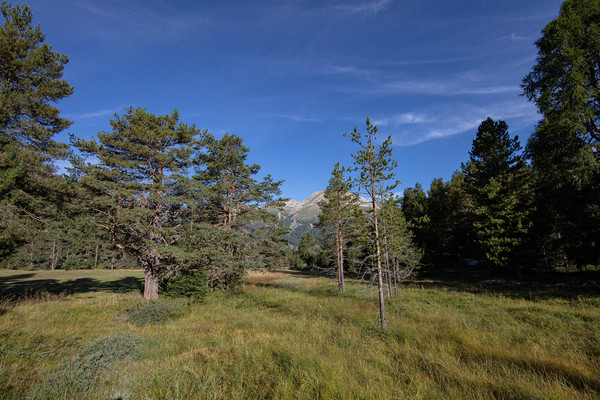 Celerina im Oberengadin, Graubünden