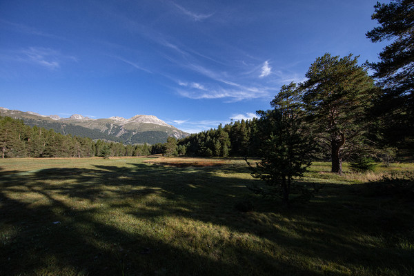 Celerina im Oberengadin, Graubünden