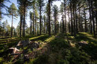 Foto: Celerina, Oberengadin, Graubünden, Schweiz