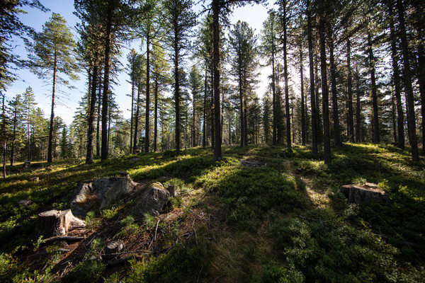 Celerina im Oberengadin, Graubünden