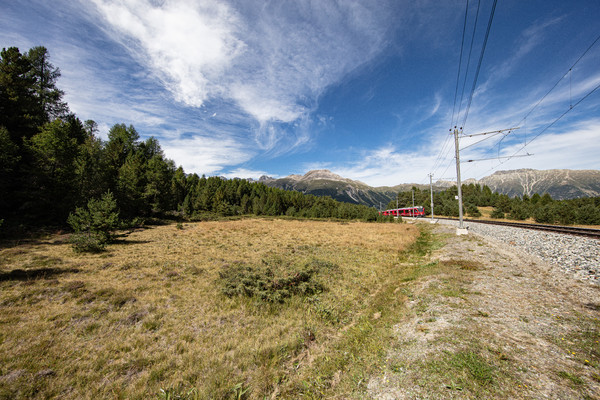 Celerina im Oberengadin, Graubünden